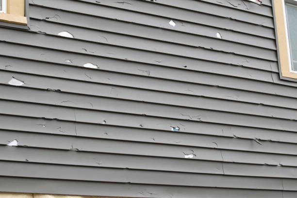 How To Choose The Right Materials for Your Siding Installation in 'Jamul, CA